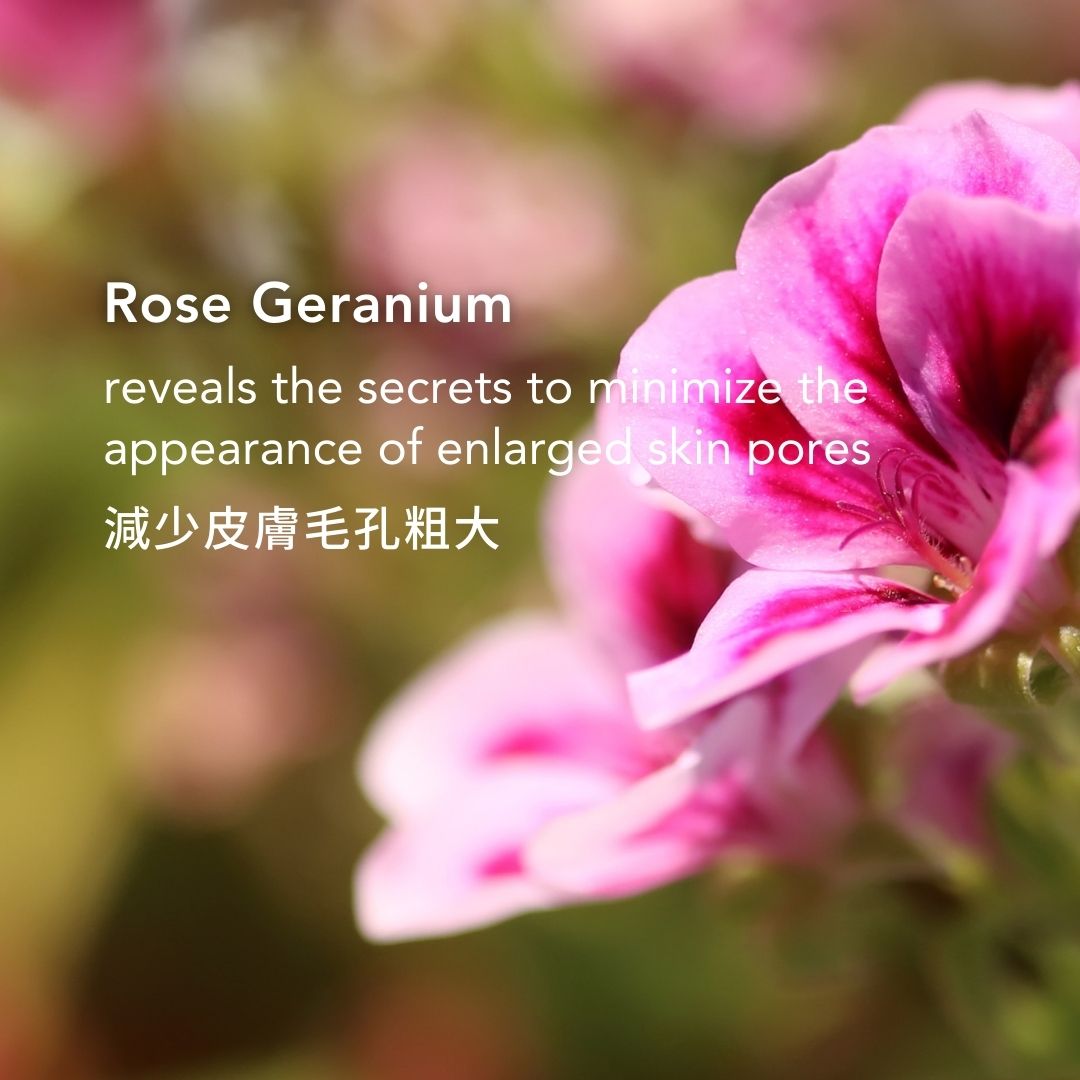 PLUMP 膠原蛋白肽精華